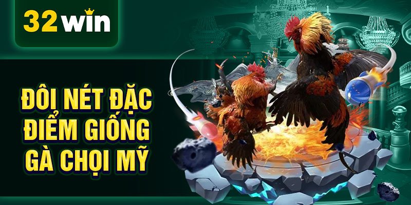 Đôi nét đặc điểm giống gà chọi Mỹ Đôi nét đặc điểm giống gà chọi Mỹ