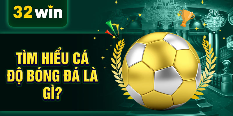 Tìm hiểu cá độ bóng đá là gì? Tìm hiểu cá độ bóng đá là gì?
