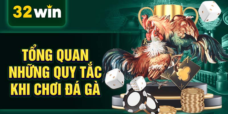 Tổng quan những quy tắc khi chơi đá gà Tổng quan những quy tắc khi chơi đá gà