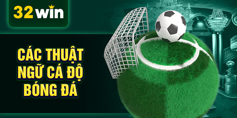 Các thuật ngữ cá độ bóng đá Các thuật ngữ cá độ bóng đá