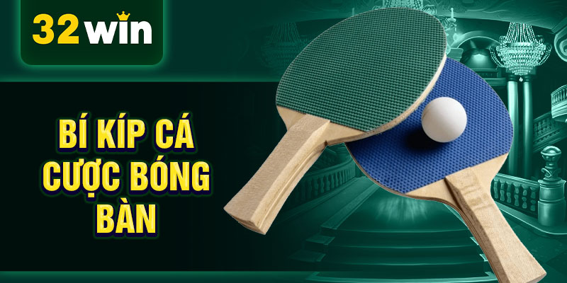 Bí kíp cá cược bóng bàn Bí kíp cá cược bóng bàn