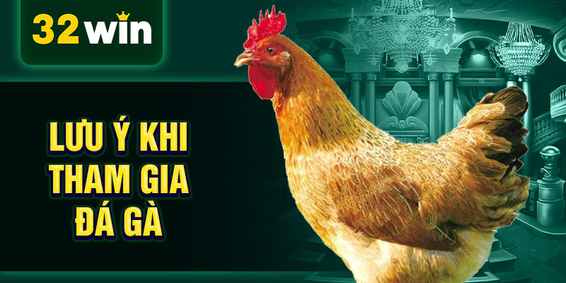 Lưu ý khi tham gia đá gà Lưu ý khi tham gia đá gà